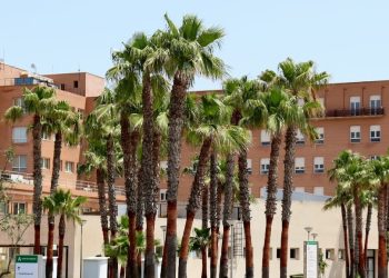 Manifiesto del Colegio de Médicos de Almería sobre la situación del Hospital Universitario de Poniente